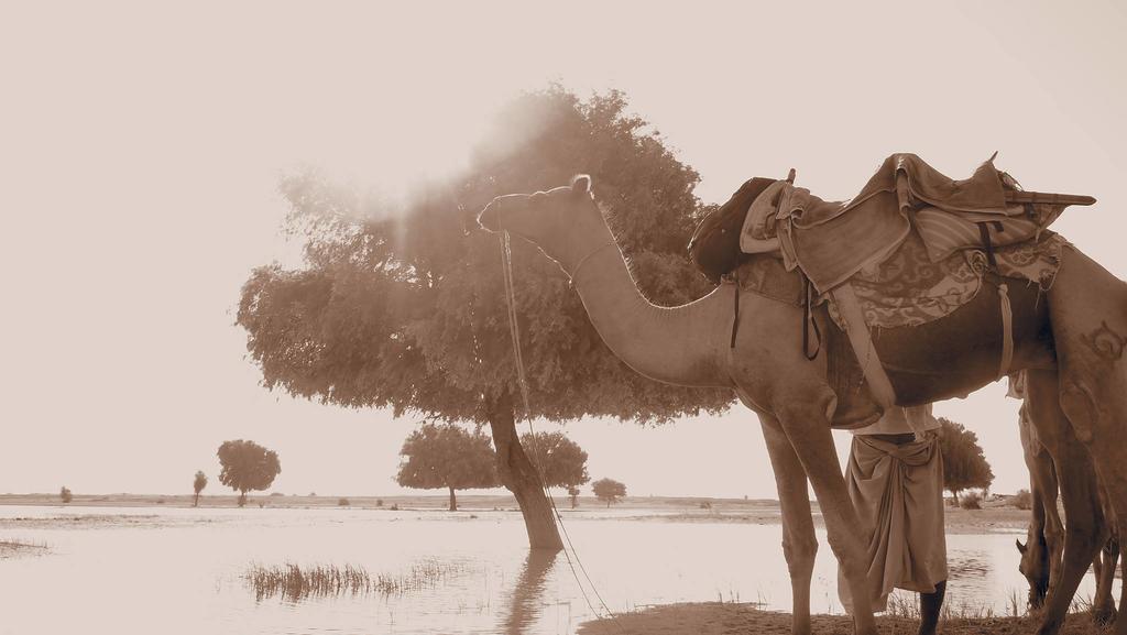 Arya Haveli Hotel Jaisalmer Ngoại thất bức ảnh